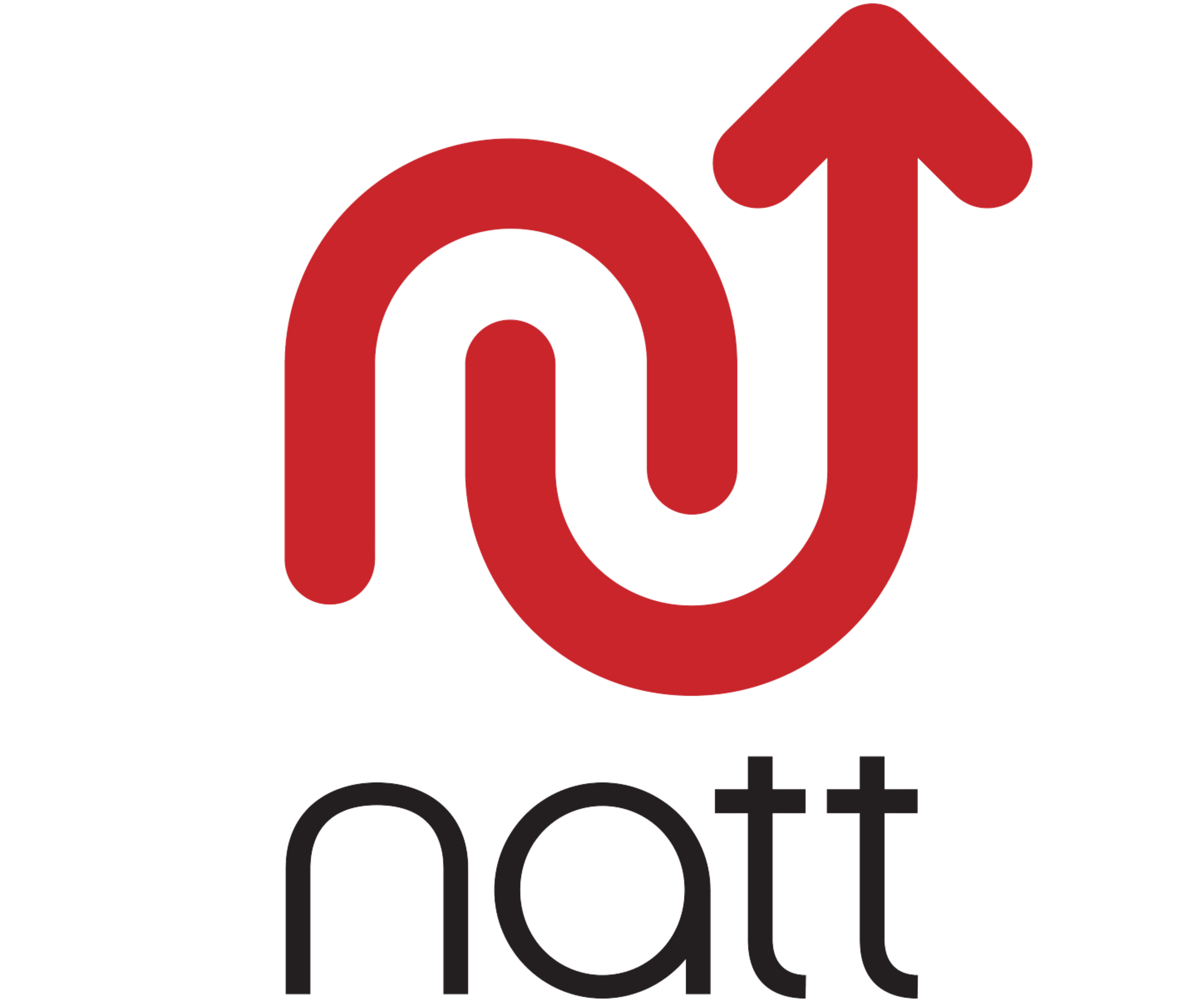 Natt Group